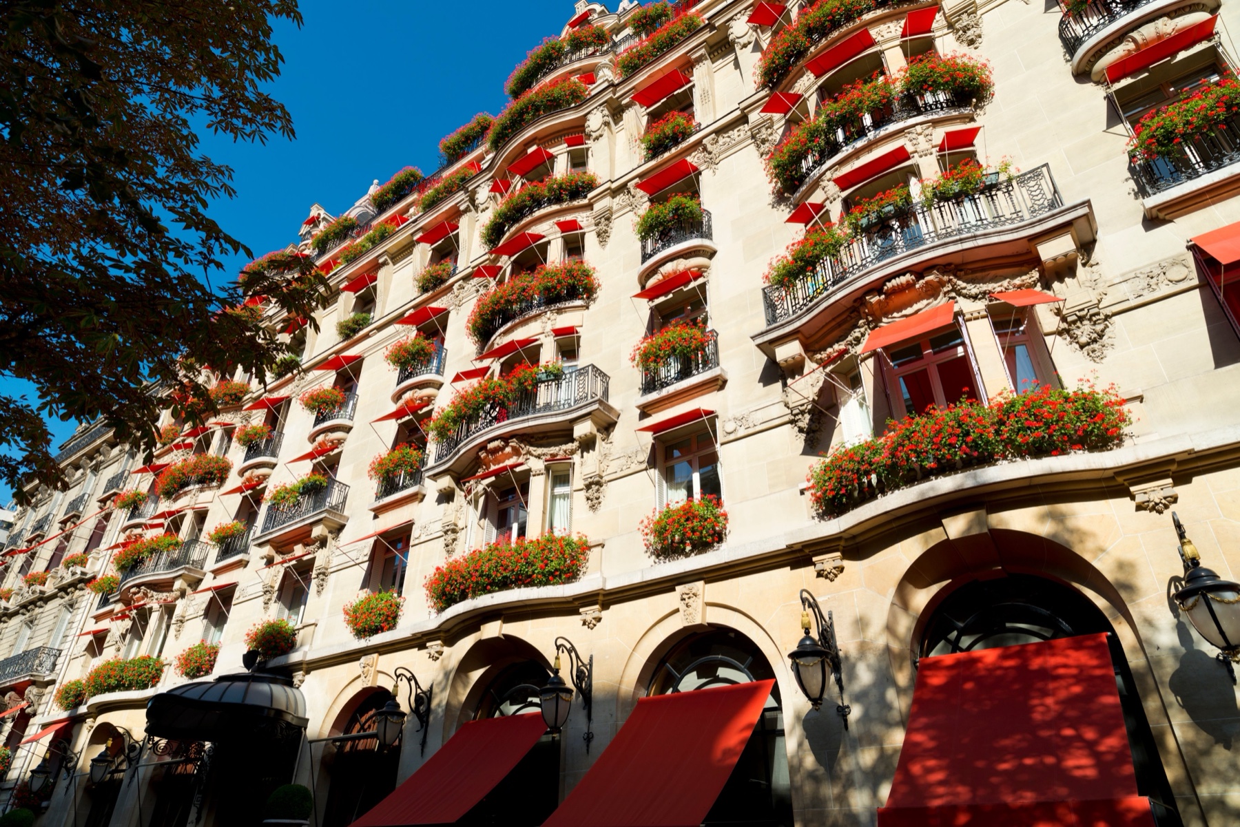 Façade ensoleillée de l’Hôtel Plaza Athénée avenue Montaigne, avec ses stores et ses fleurs rouges aux balcons